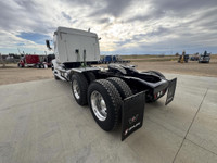 LOW KMS!!! 2012 Western Star 4900SA Tandem Truck Dash readings KMS: 187,281 HRS: 7,213 ECM Readings... (image 5)