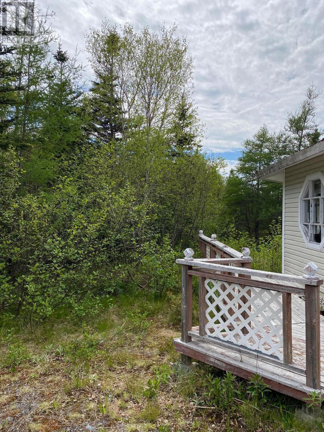 0 Dennys Pond Road New Harbour, Newfoundland & Labrador Houses for