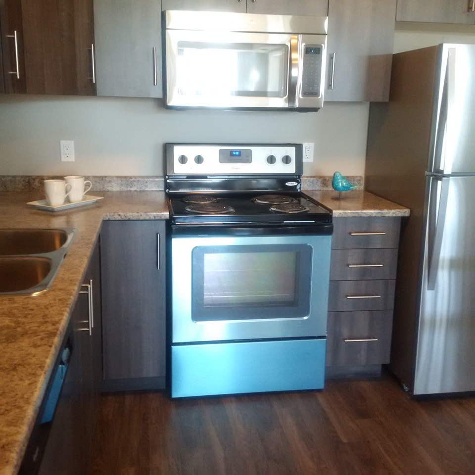 Newer 2 bedroom Executive Suite Apartment Available 4
