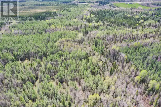 FAUQUIER-STRICKLAND - 319 HIGHWAY 11 Kapuskasing, Ontario in Land for Sale in Kapuskasing - Image 10