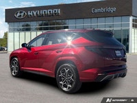 *2024 Hyundai Tucson N-Line Hybrid | AWD | Panoramic Sunroof | Heated & Ventilated Seats | CarPlay*... (image 2)