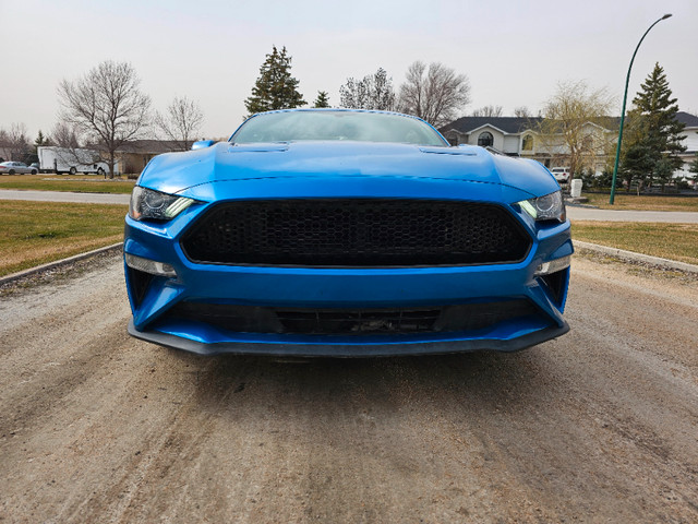 2019 Ford Mustang EcoBoost 18" Wheels 10 Speed Automatic in Cars & Trucks in Winnipeg - Image 4