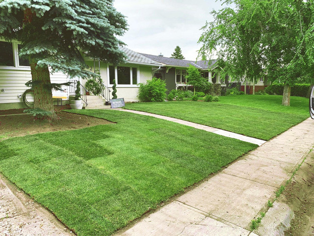 FREE ESTIMATES - LANDSCAPING, SOD REMOVAL INSTALL, DEMOLITION ! in Lawn, Tree Maintenance & Eavestrough in Calgary - Image 4