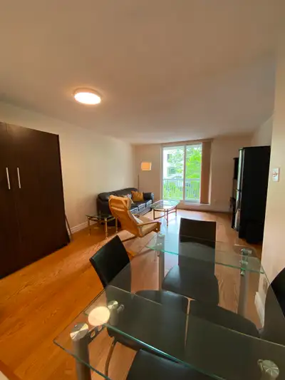 This fully furnished 1 bedroom condo is steps away from Tunney's Pasture, a 10 minute bike ride to d...