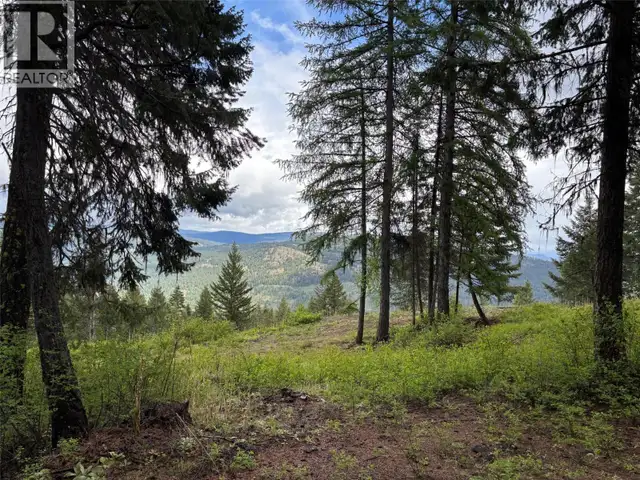 Lot 2 Hulme Creek Road Rock Creek, British Columbia in Land for Sale in Penticton - Image 4