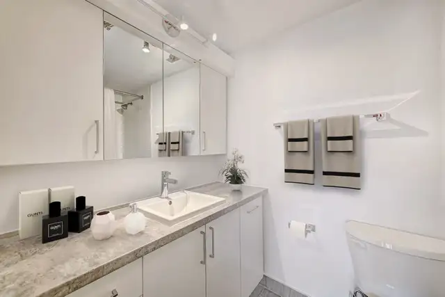 Domaine d'Iberville Apartments - 1 Bedroom Apartment for Rent in Long Term Rentals in Longueuil / South Shore - Image 8