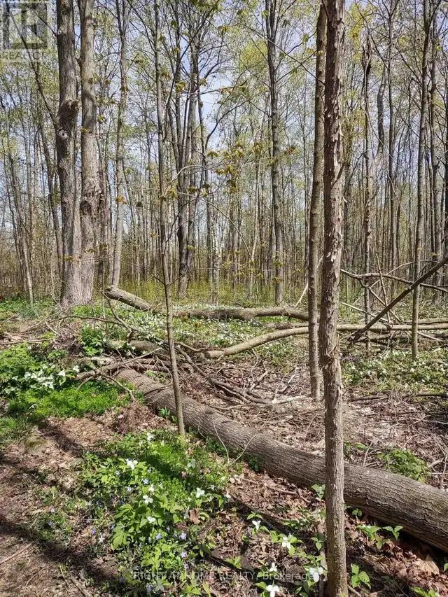 PTL 26 & PTL 27, CON 7, ORO Oro-Medonte, Ontario in Land for Sale in Barrie - Image 23