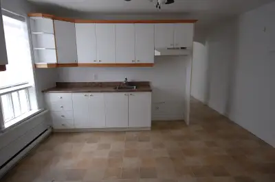 4 1/2  à Louer