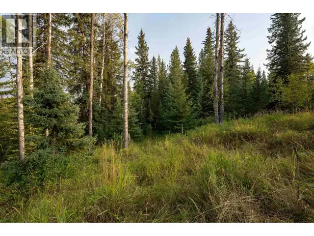 7470 CARIBOO CHALET ROAD Deka Lake / Sulphurous / Hathaway Lakes in Houses for Sale in 100 Mile House - Image 34
