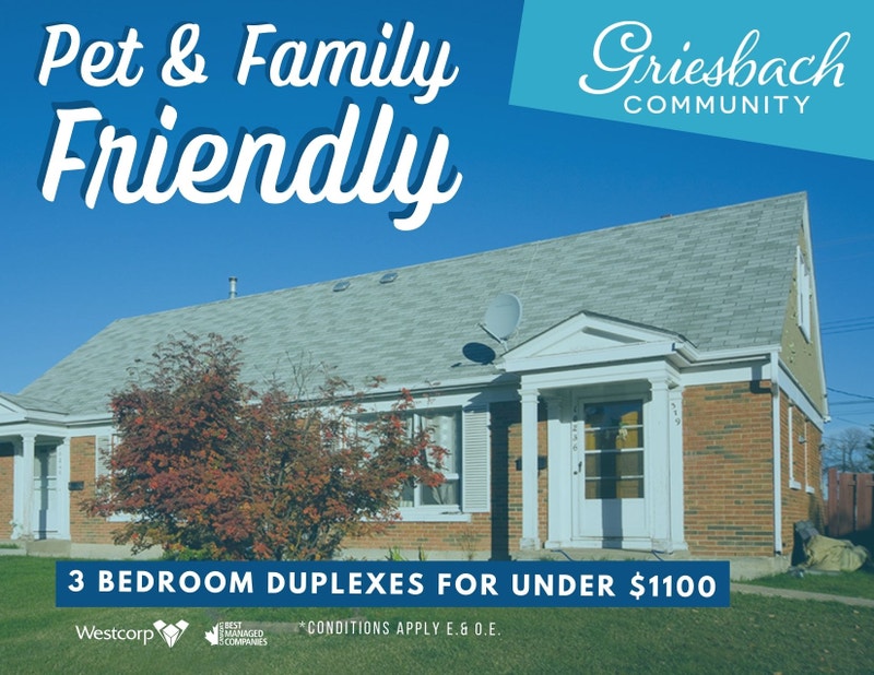 Petfriendly 3bed duplex for rent in north Edmonton Long Term Rentals