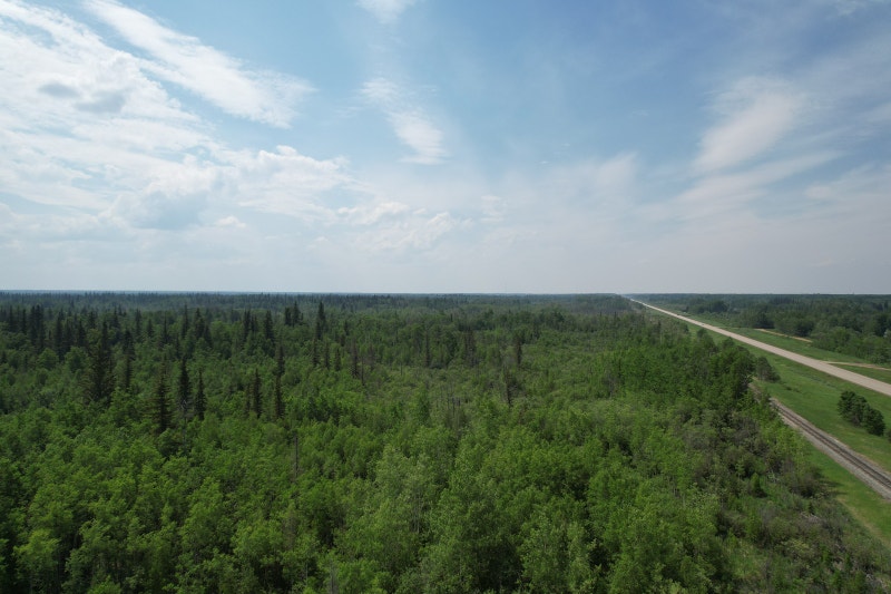 118 Acres mature trees backing into crown Land for Sale Edmonton