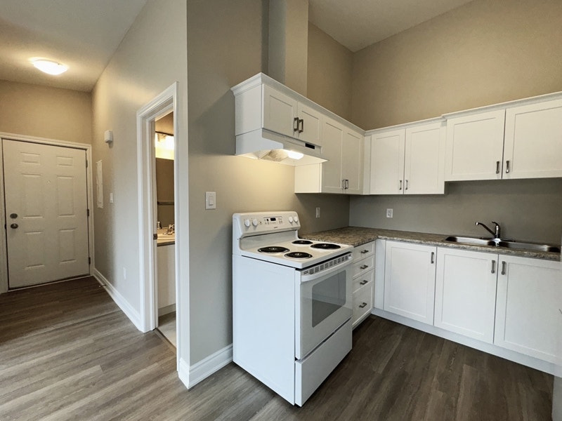 Beautiful Newly Renovated 1 Bedroom Apartments Available Now 2