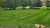 Offering Lawn Care 2024, book now!