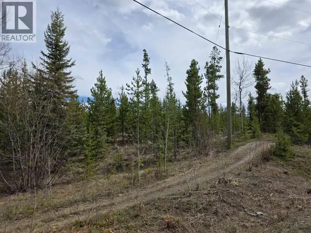 1143 TIBBLES ROAD Quesnel, British Columbia in Land for Sale in Quesnel - Image 3