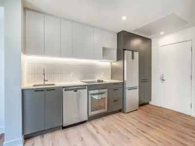 3.5 condo appt tout inclus a louer Sud Ouest-Griffin Square, View more