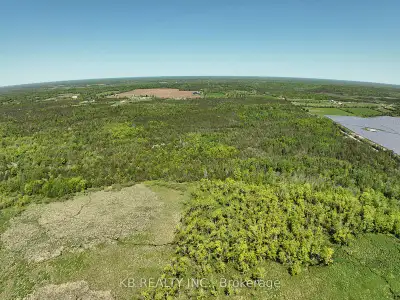 Escape the city life and enjoy nature on this tranquil 50+ acre parcel. Perfect to enjoy the great o...