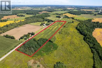 offering nearly 20 acres, including about 13 workable acres, rolling farmland, mature tree cover, an...