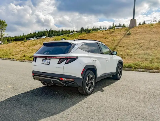 2024 Hyundai Tucson Hybrid Luxury in Cars & Trucks in St. John's - Image 5