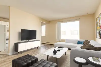 Affordable Apartments for Rent - Mount Rose Apartments - Apartme