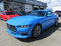 Thanks for viewing our South View Motors Inventory! 2024 FORD MUSTANG ECOBOOST PREMIUM FASTBACK IN B... (image 9)
