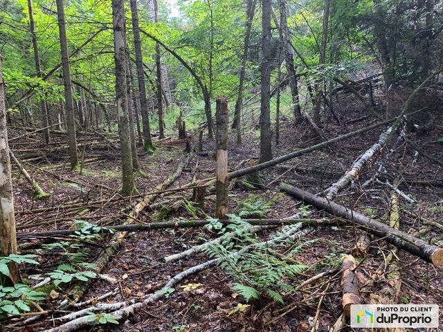 $219,000 - Residential Lot for sale in Morin-Heights — photo 2