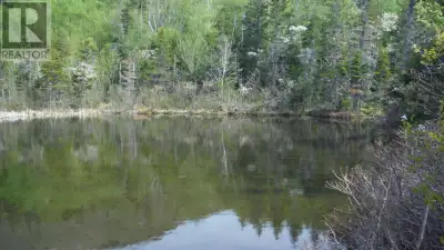 Discover your own slice of Cape Breton paradise on this beautiful 15-acre property nestled along Che...