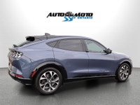 SAFETY INCLUDED ACCIDENT FREE 21 FORD SERVICE RECORDS LOCAL ONTARIO CAR Very Clean Ford Mustang Mach... (image 5)