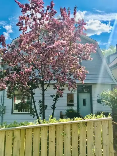 Bright & Beautiful 2-Bedroom Main Floor Home 351 Foley Street, Thunder Bay Welcome to this bright an...