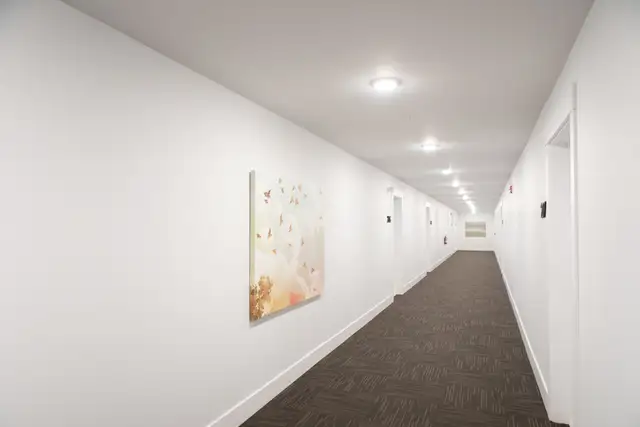 1 Bedroom Top-Floor Apt next to UNB! 511-49 Forest Hill in Long Term Rentals in Fredericton - Image 13