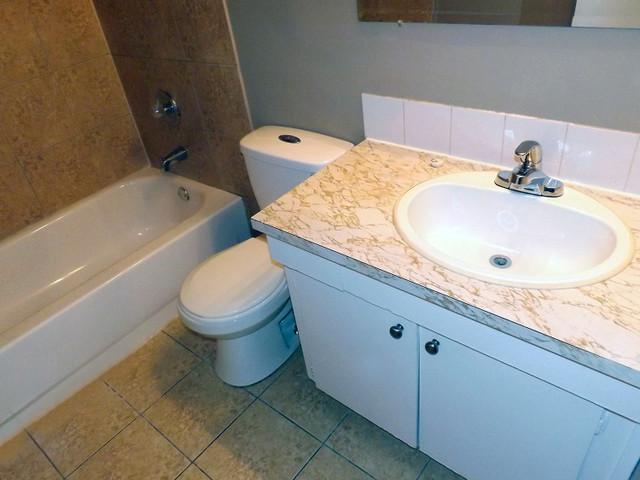 Queen Mary Park Apartment For Rent | Salem Court in Long Term Rentals in Edmonton - Image 3