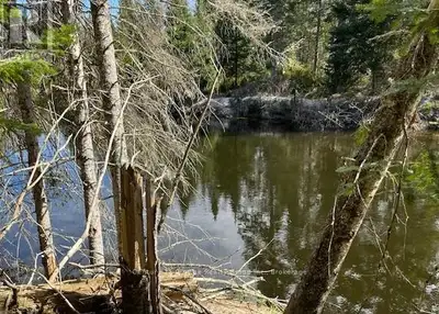 Level vacant land with over 600 feet of frontage on the Irondale River. The lot covers 1.5acres and...