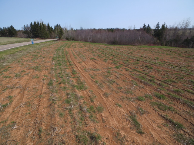 2 acre parcel of land Central Kildare in Land for Sale in Summerside - Image 2