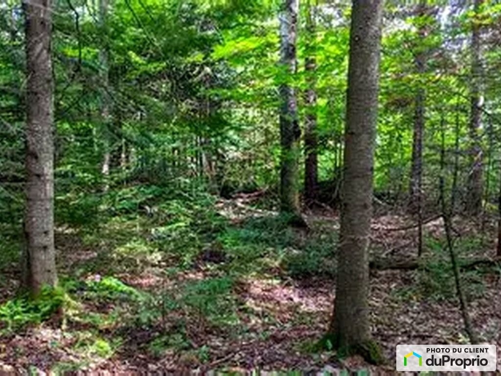 $624,000 - Residential Lot for sale in Nominingue — photo 1