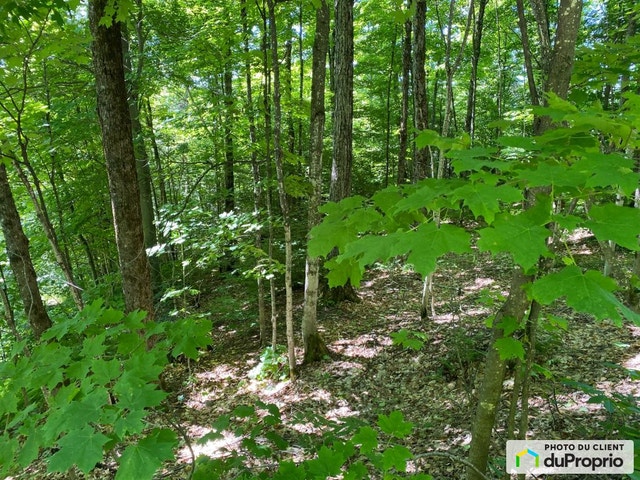$310,000 - Residential Lot for sale in St-Adolphe-D'Howard — photo 2