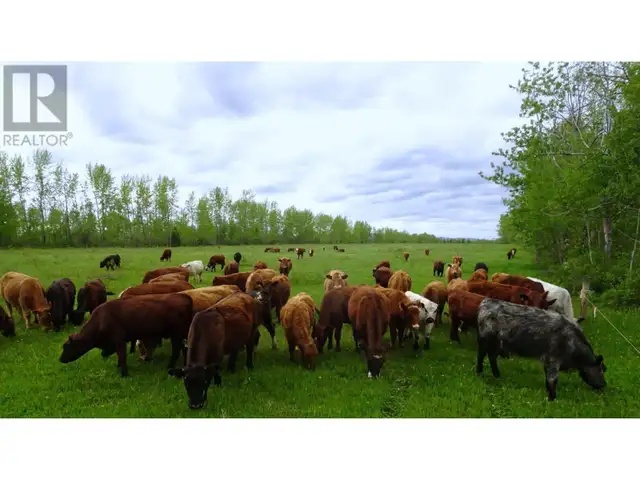 DL4905 DAY ROAD Horsefly, British Columbia in Land for Sale in Williams Lake - Image 6