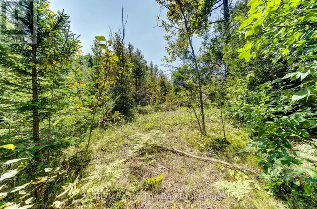LOT 55 55TH STREET S Wasaga Beach, Ontario in Land for Sale in Oakville / Halton Region - Image 22