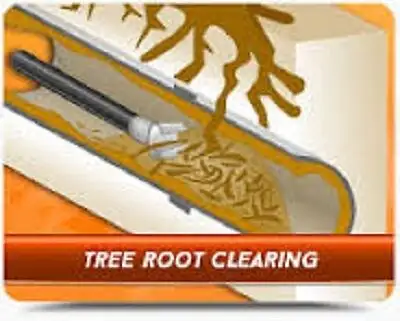Save on Sewer & Drain Inspection Services Call Red Alert Today!62863241914370122