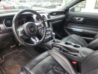 Feel the undeniable thrill of pure American muscle with this stunning 2022 Ford Mustang GT Premium!... (image 3)
