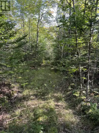 Perfect wooded acreage for a cottage or year-round home in the forest. With 47 acres you will have p...