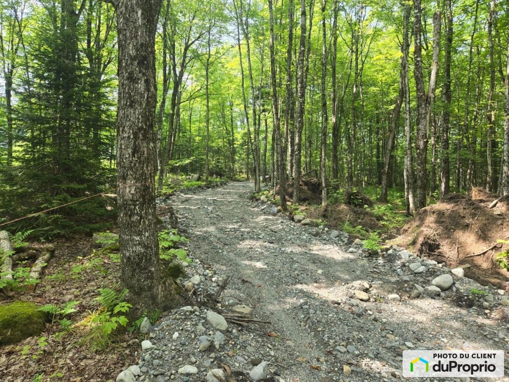 $115,000 - Wood Lot for sale in Milan — photo 2