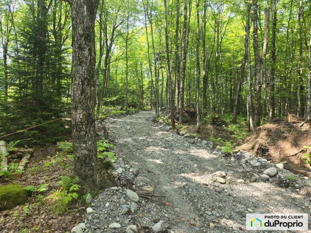 $115,000 - Wood Lot for sale in Milan — photo 2