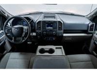 Libérez votre potentiel avec le Ford F-150 XLT Découvrez la quintessence de la puissance, de la poly... (image 1)