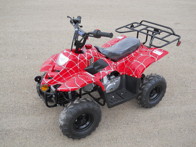 SPRING SAVINGS ON KIDS/ADULTS ATVS/DIRT BIKES/DUNE BUGGYS in ATV Parts, Trailers & Accessories in Brandon - Image 2