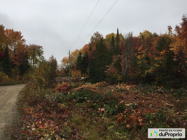 $100,000 - Land to be developed for sale in Ste-Beatrix — photo 2