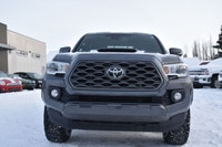 Adrenalin Motors has expanded to Carstairs AB, a short 30 minute drive from Calgary AB! NO ACCIDENTS... (image 7)