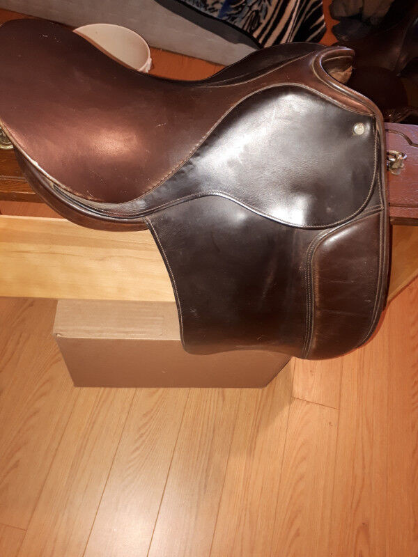 English Saddles in Equestrian & Livestock Accessories in Annapolis Valley - Image 2