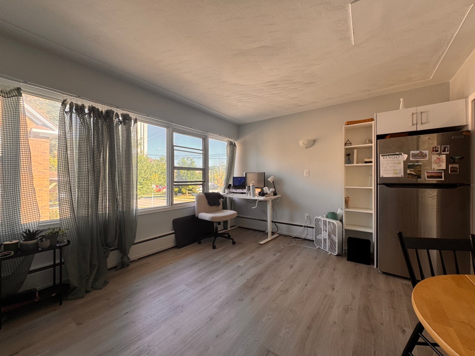 Refreshed & Bright 1 Bedroom Apartment in Central Kitchener! (Un 4