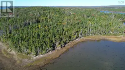 Hard to locate an oceanfront lot like this one. Over 3 1/2 acres and 455 feet+- of waterfront. A ver...