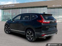 ===== Quality Used Cars in Mississauga – One Price. No Hassle. No Haggle. ===== At 401 Dixie Hyundai... (image 2)