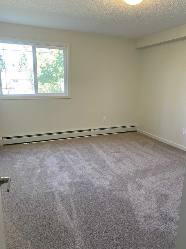 Spacious Top Floor 3 Bedroom Ready For Move In! in Long Term Rentals in Edmonton - Image 3